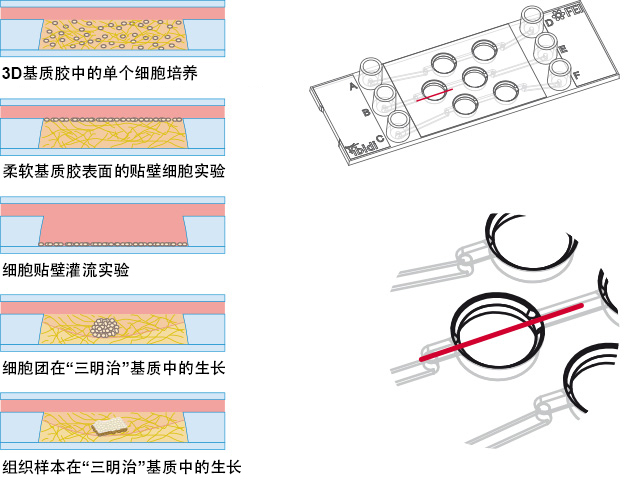 S_8037X_III_3D_Perfusion_Applications.jpg