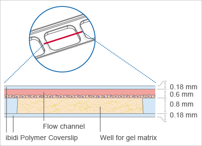 S_871XX_Slide_ILuer_3D_principle.jpg